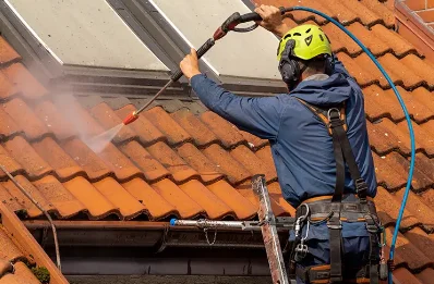 Démoussage et hydrofuge de toiture à Chanoz-Châtenay